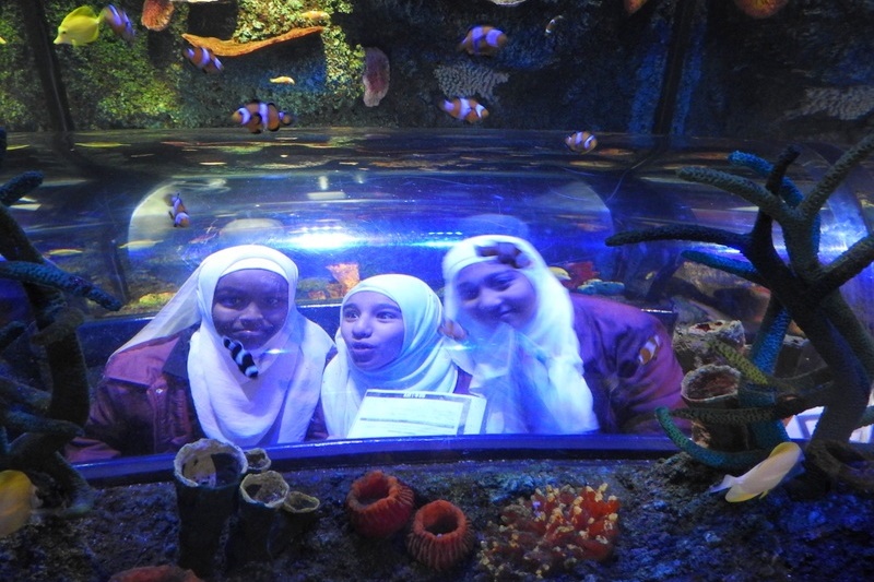 Year 7 Students Visit the Melbourne Aquarium