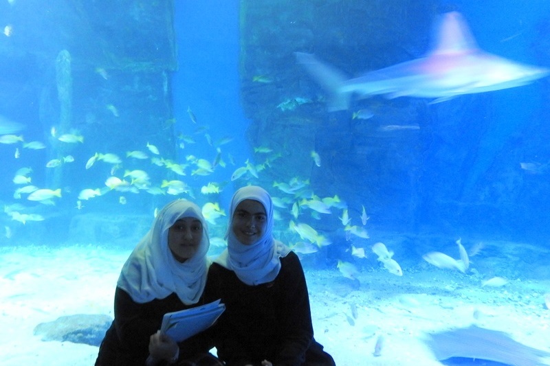 Year 7 Students Visit the Melbourne Aquarium