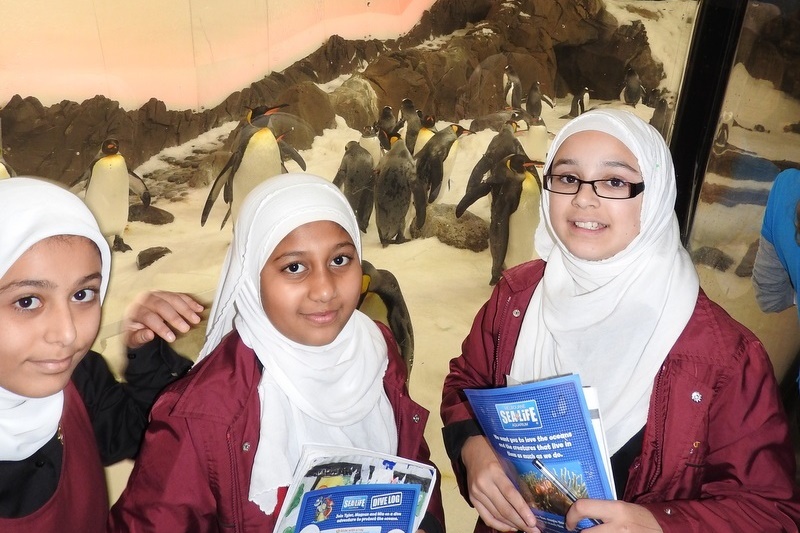 Year 7 Students Visit the Melbourne Aquarium