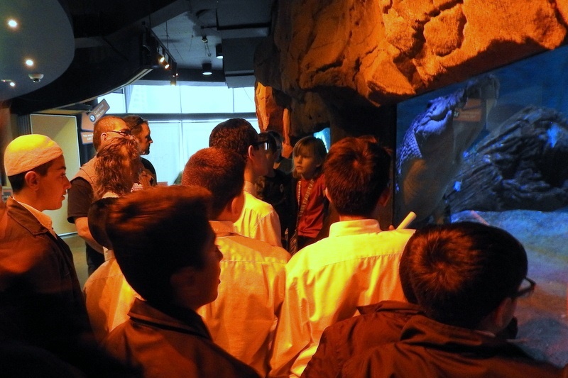 Year 7 Students Visit the Melbourne Aquarium