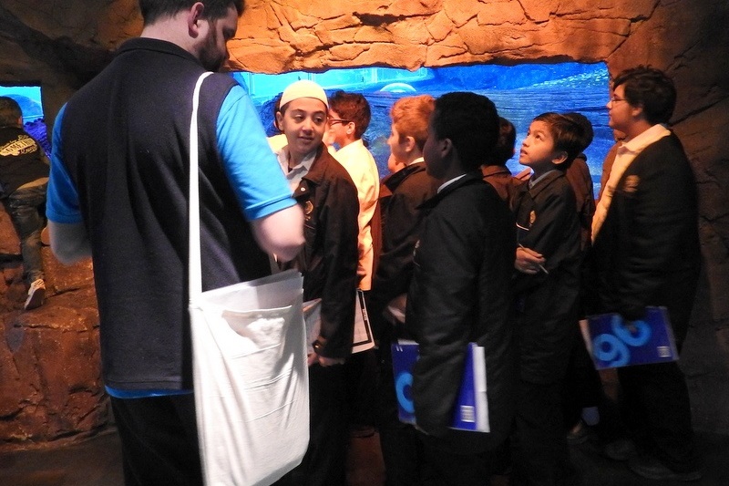 Year 7 Students Visit the Melbourne Aquarium