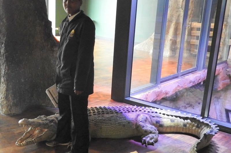 Year 7 Students Visit the Melbourne Aquarium