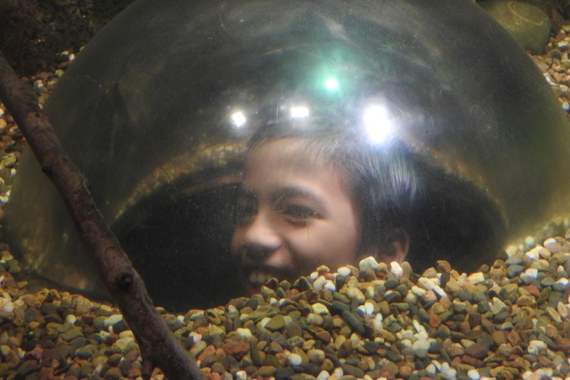 Year 7 Students Visit the Melbourne Aquarium