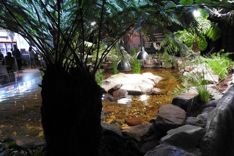 Year 7 Students Visit the Melbourne Aquarium