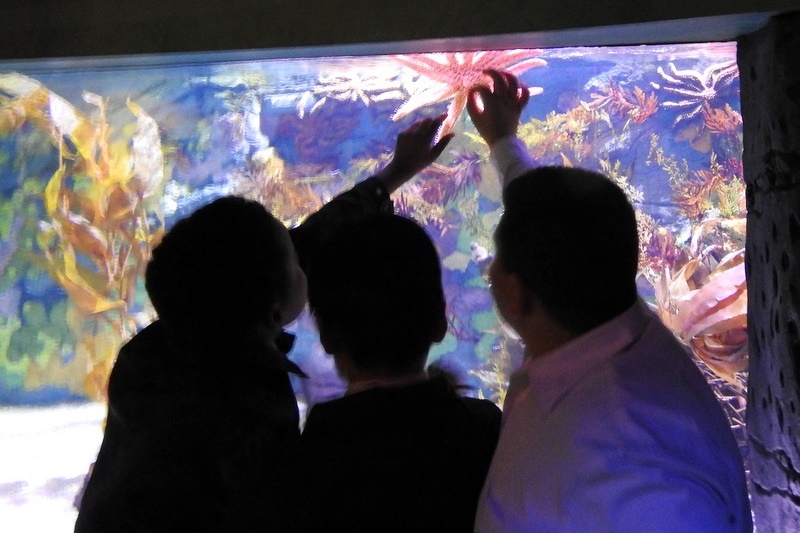 Year 7 Students Visit the Melbourne Aquarium