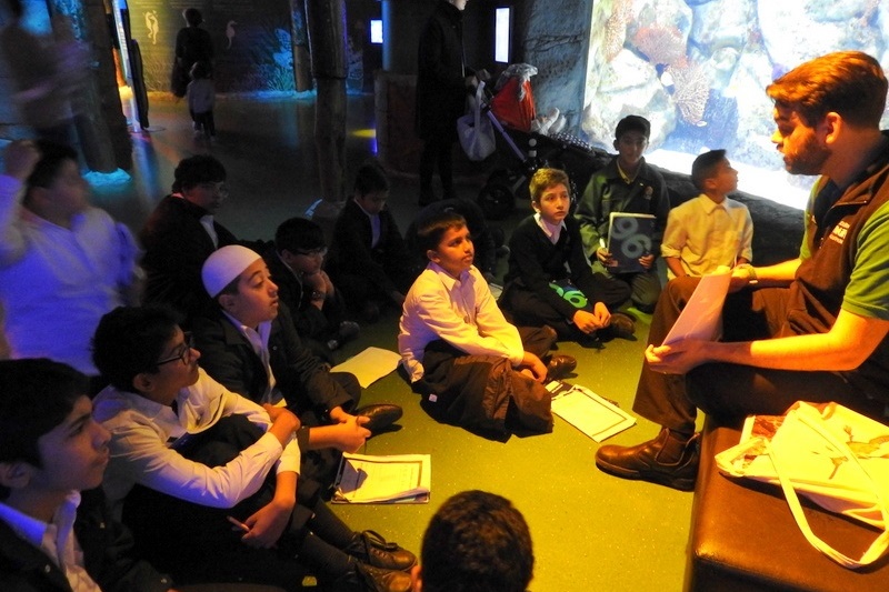 Year 7 Students Visit the Melbourne Aquarium