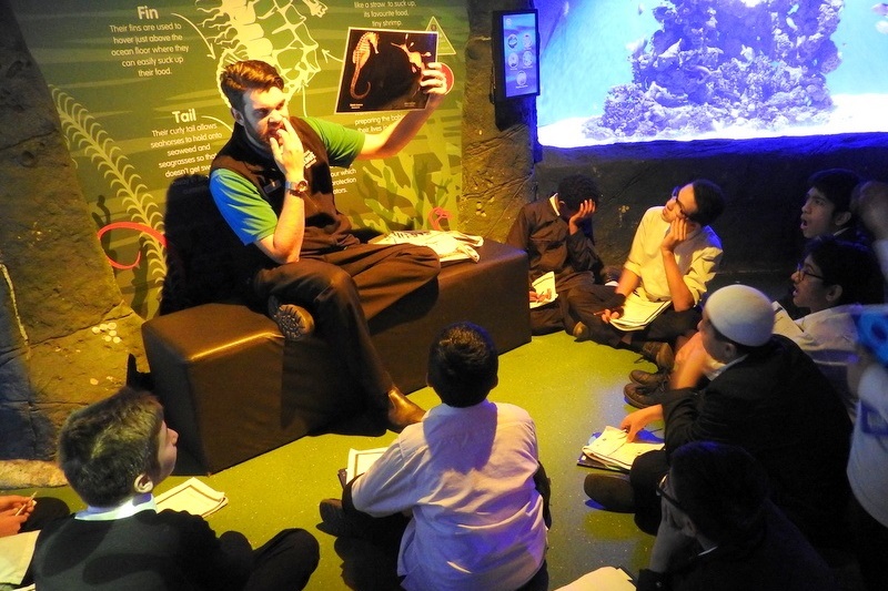 Year 7 Students Visit the Melbourne Aquarium