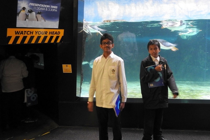 Year 7 Students Visit the Melbourne Aquarium