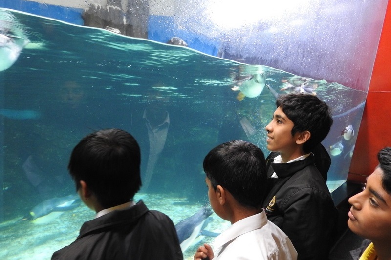 Year 7 Students Visit the Melbourne Aquarium