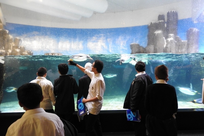 Year 7 Students Visit the Melbourne Aquarium