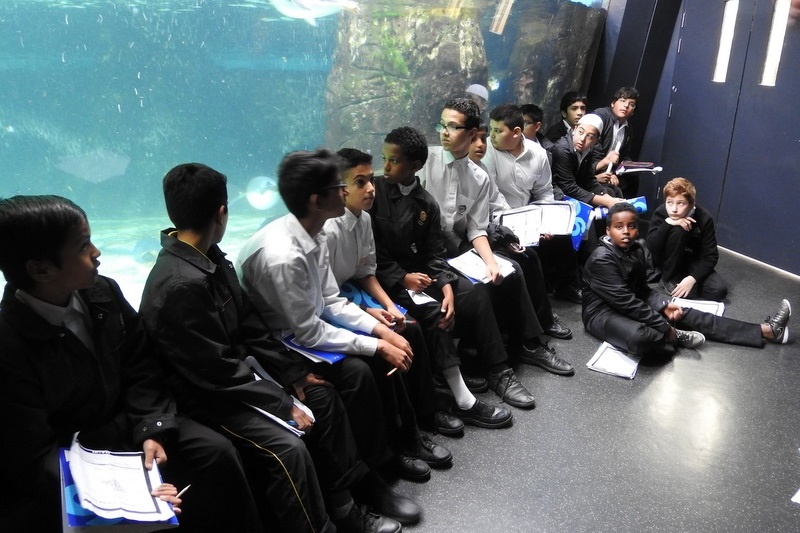 Year 7 Students Visit the Melbourne Aquarium