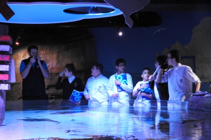 Year 7 Students Visit the Melbourne Aquarium