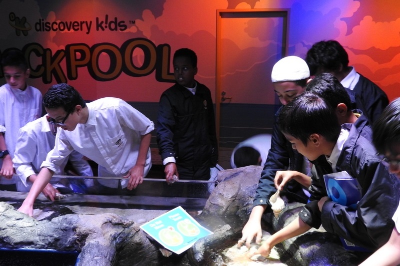 Year 7 Students Visit the Melbourne Aquarium