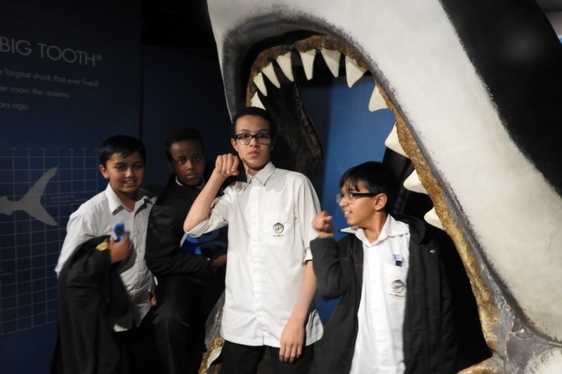 Year 7 Students Visit the Melbourne Aquarium