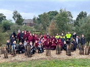 Year 4: Tree Planting at Axebridge Reserve
