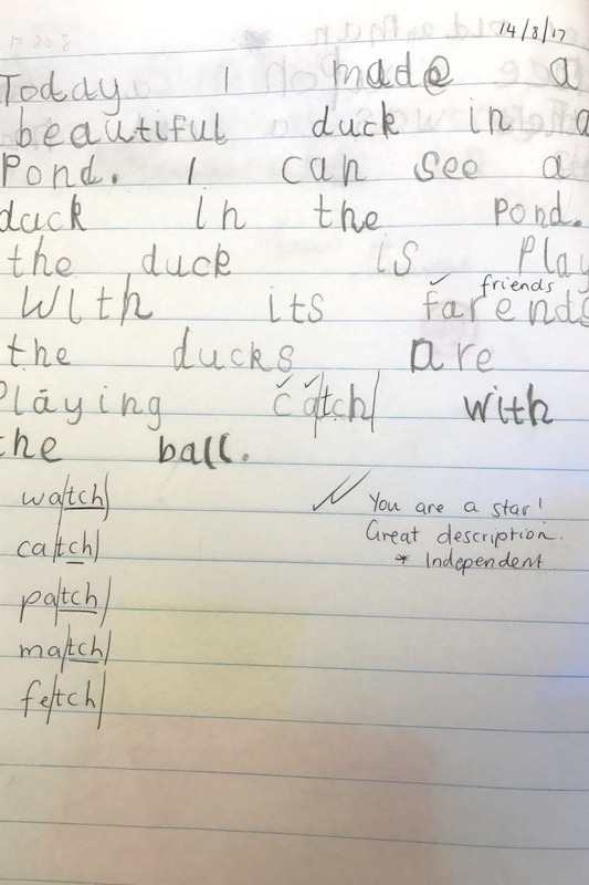 Year Foundation: Duck - Focus Word of the Week