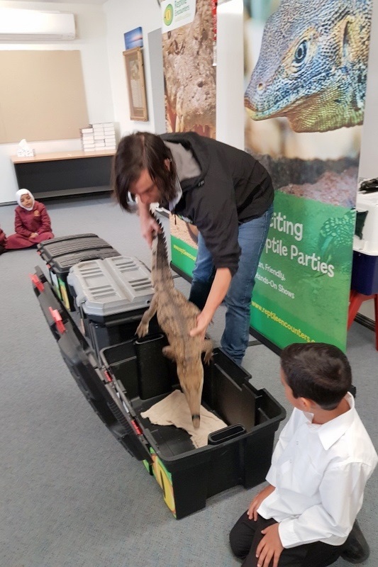 Year 3 Incursion: Reptile Encounters