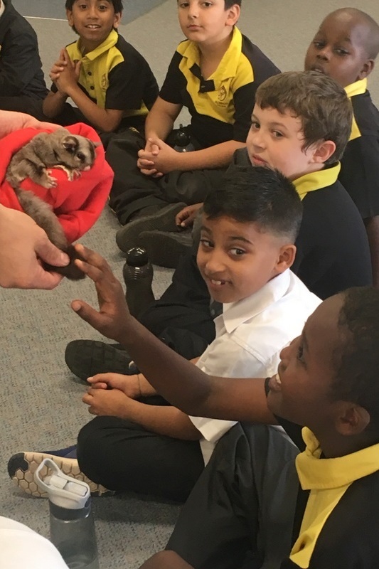 Year 3 Incursion: Reptile Encounters