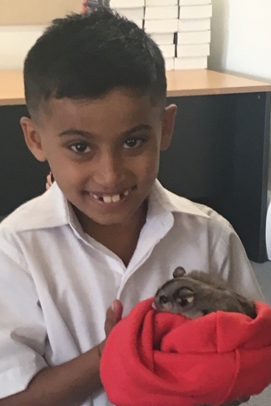 Year 3 Incursion: Reptile Encounters