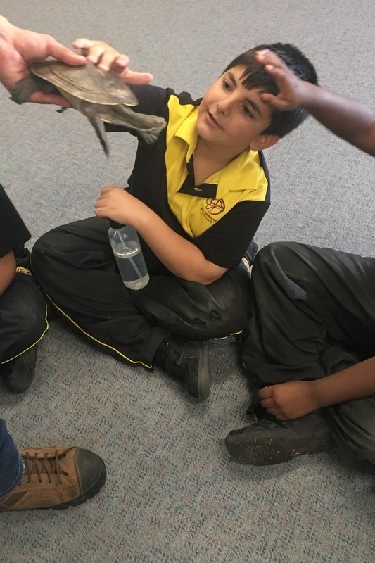 Year 3 Incursion: Reptile Encounters