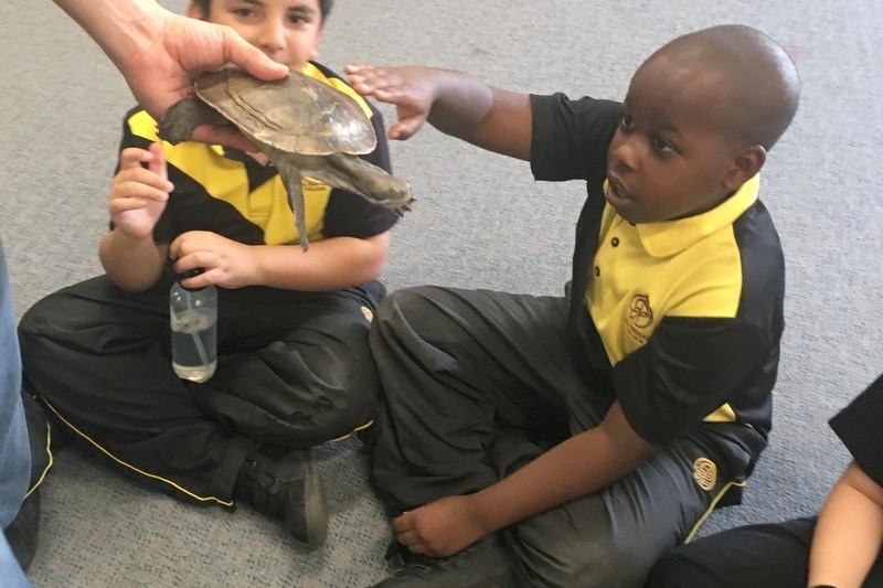 Year 3 Incursion: Reptile Encounters