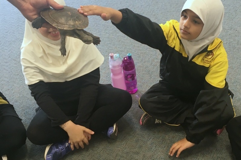 Year 3 Incursion: Reptile Encounters