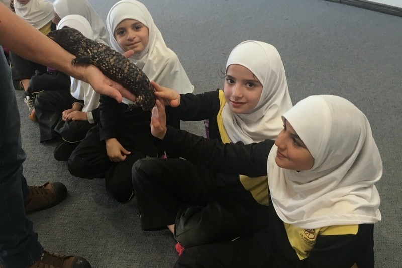 Year 3 Incursion: Reptile Encounters