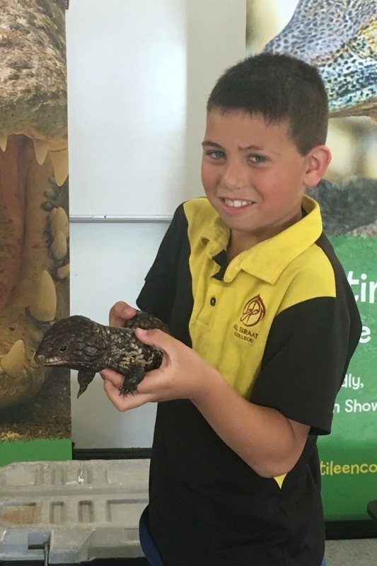 Year 3 Incursion: Reptile Encounters