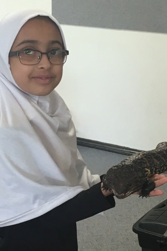 Year 3 Incursion: Reptile Encounters