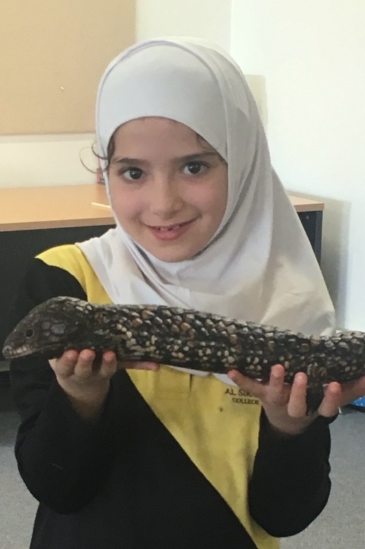 Year 3 Incursion: Reptile Encounters