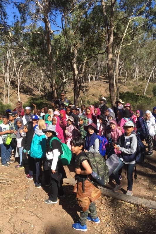 Year 4 Camp Sunnystones