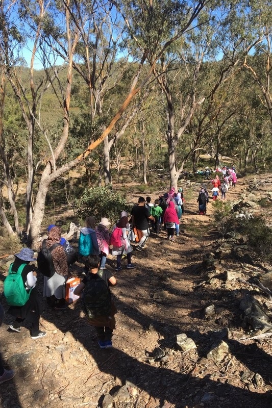 Year 4 Camp Sunnystones