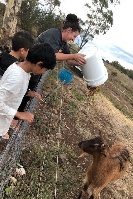 Year 4 Camp Sunnystones