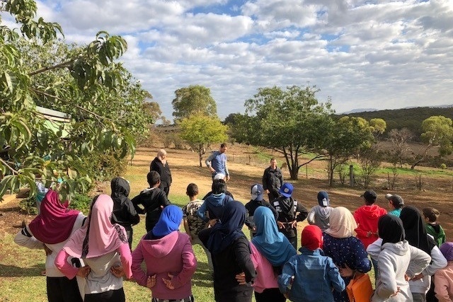 Year 4 Camp Sunnystones