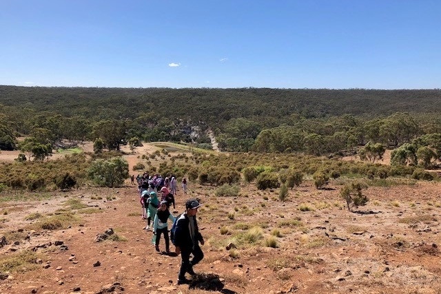 Year 4 Camp Sunnystones