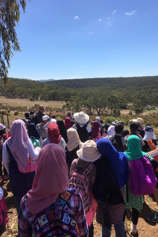 Year 4 Camp Sunnystones