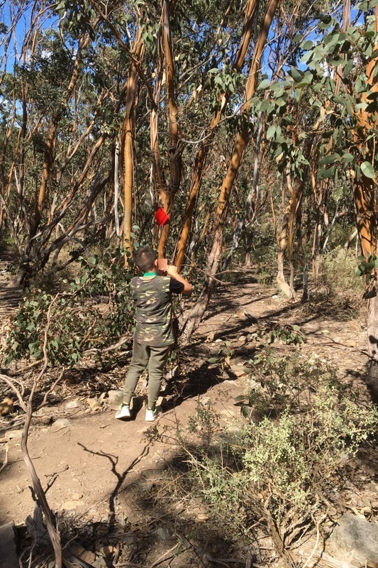 Year 4 Camp Sunnystones