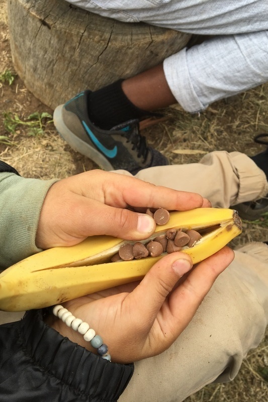 Year 4 Camp Sunnystones