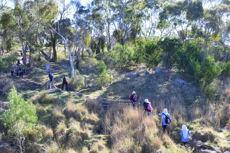 Werribee Gorge Hiking Trip