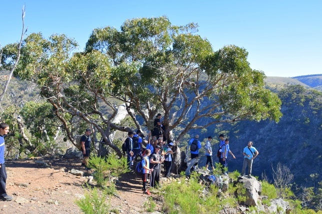 Werribee Gorge Hiking Trip