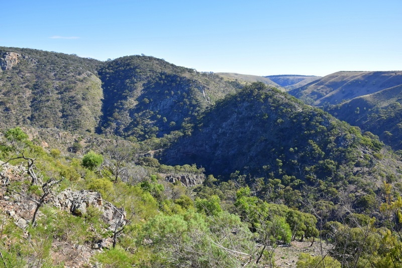 Werribee Gorge Hiking Trip