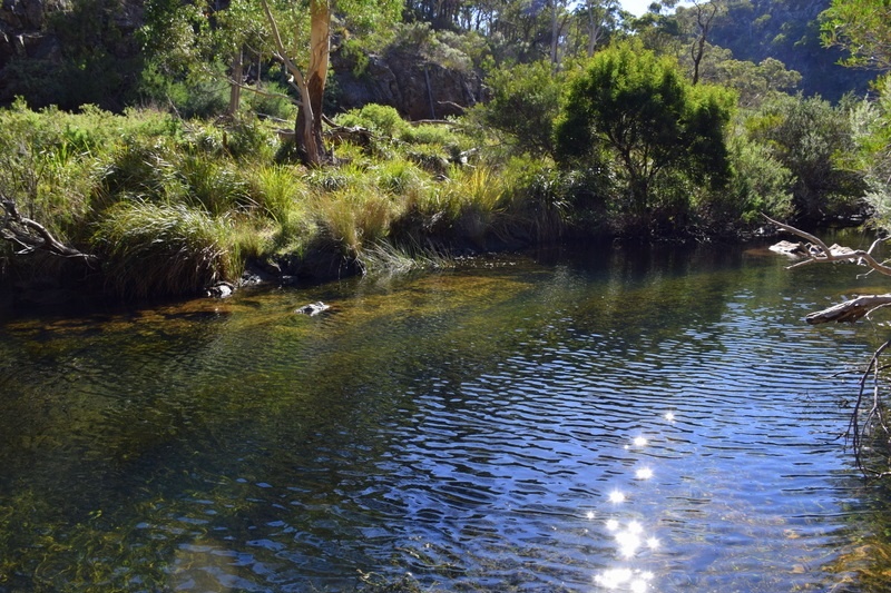 Werribee Gorge Hiking Trip