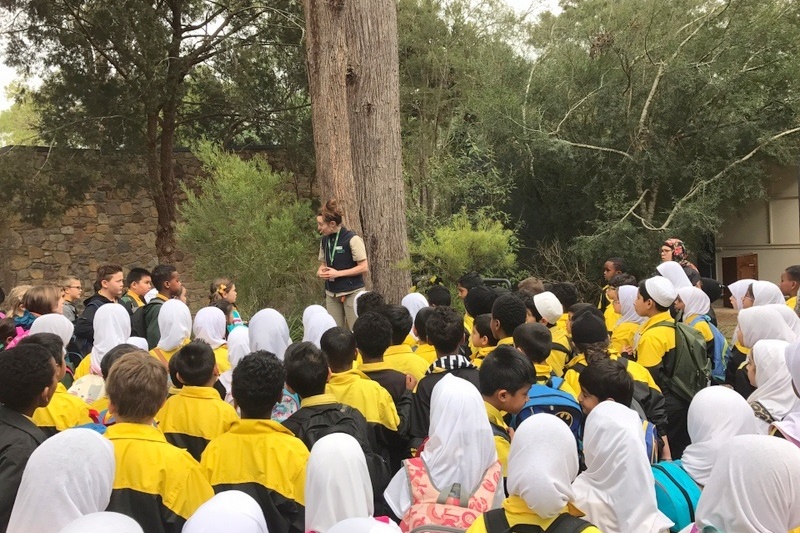 Year 2 Excursion: Healesville Sanctuary