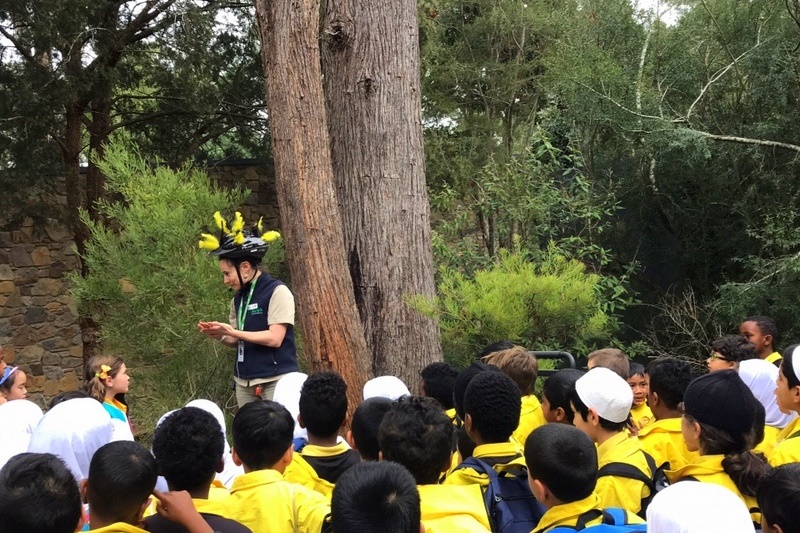 Year 2 Excursion: Healesville Sanctuary