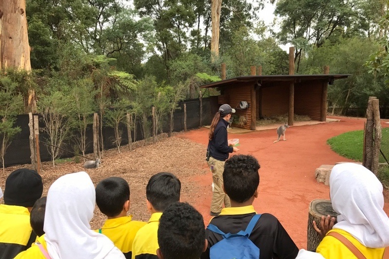 Year 2 Excursion: Healesville Sanctuary