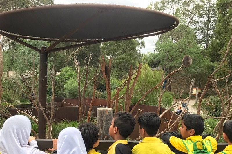 Year 2 Excursion: Healesville Sanctuary