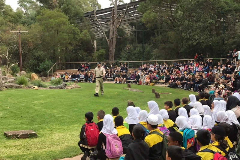 Year 2 Excursion: Healesville Sanctuary