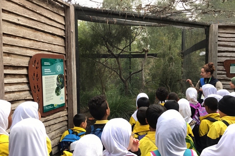 Year 2 Excursion: Healesville Sanctuary