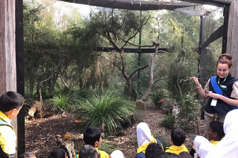 Year 2 Excursion: Healesville Sanctuary