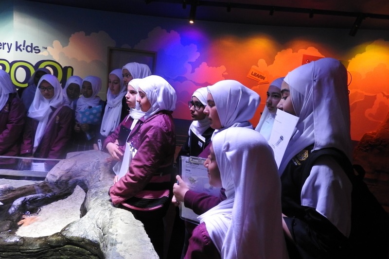 Year 7 Excursion: Sea Life Aquarium